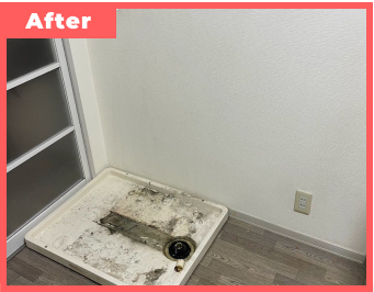 不用品回収実績アフター画像